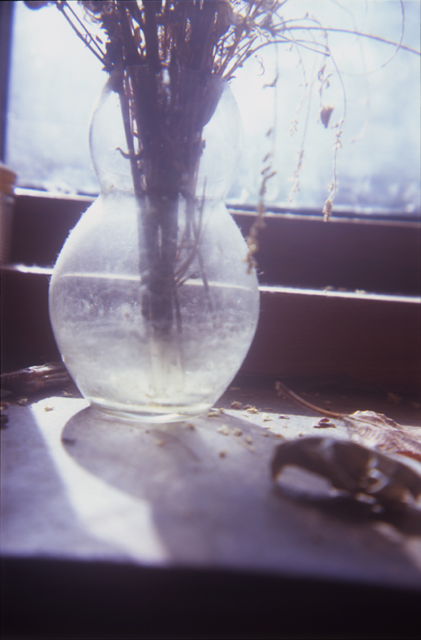 ruben van luijk: still life n°3