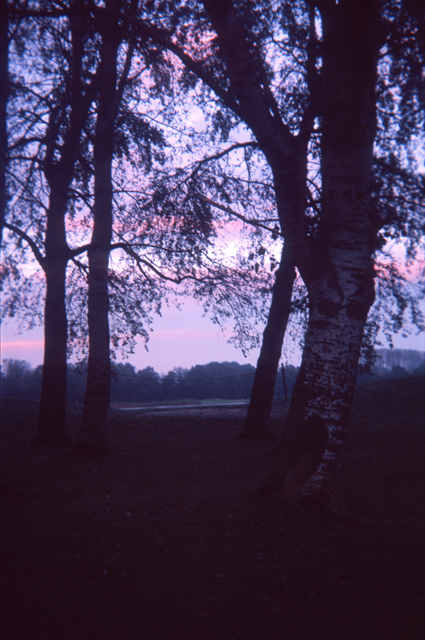 ruben van luijk: novembre, silence